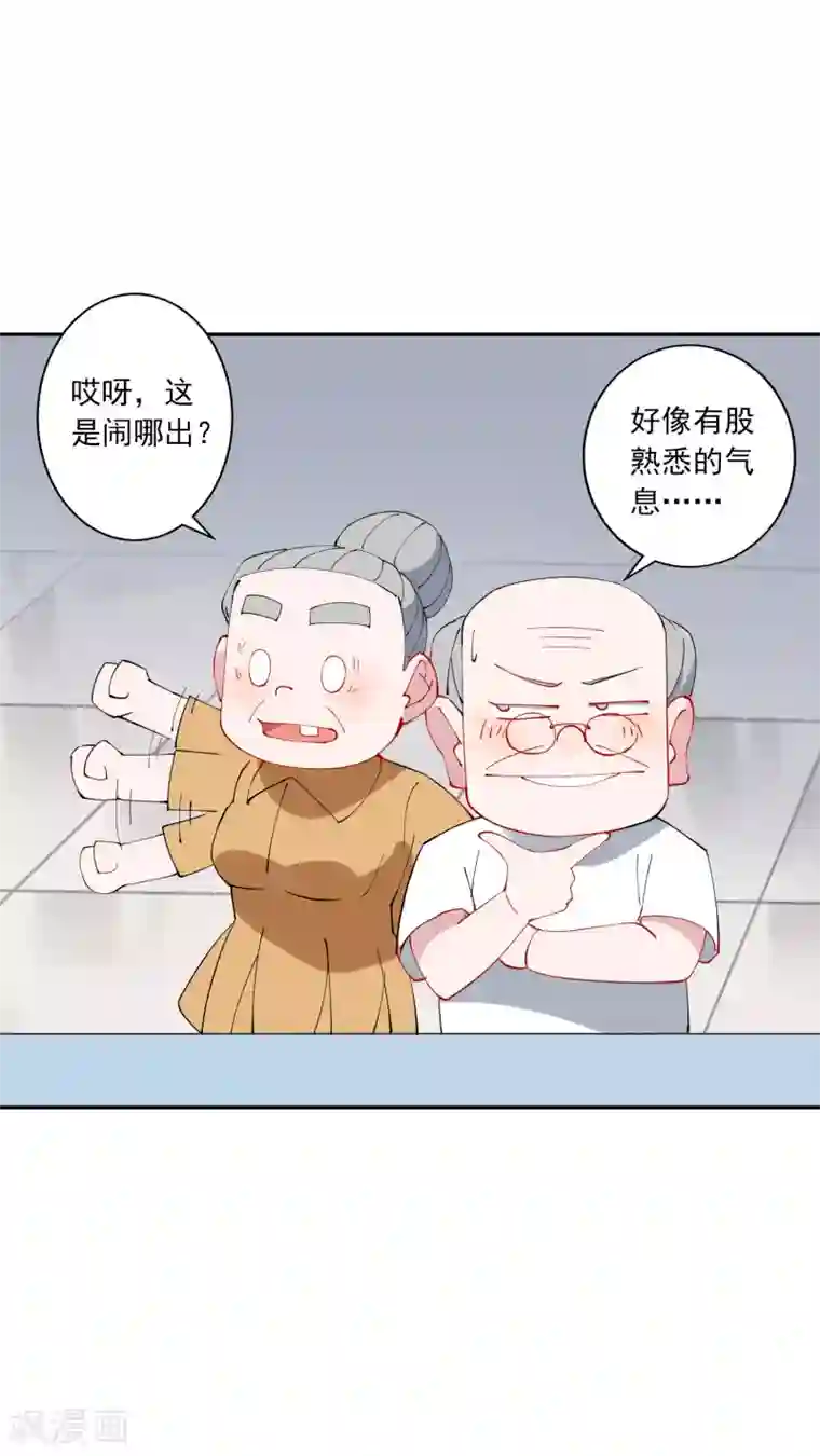 麻辣女老板第28话 总裁大人当场下跪！