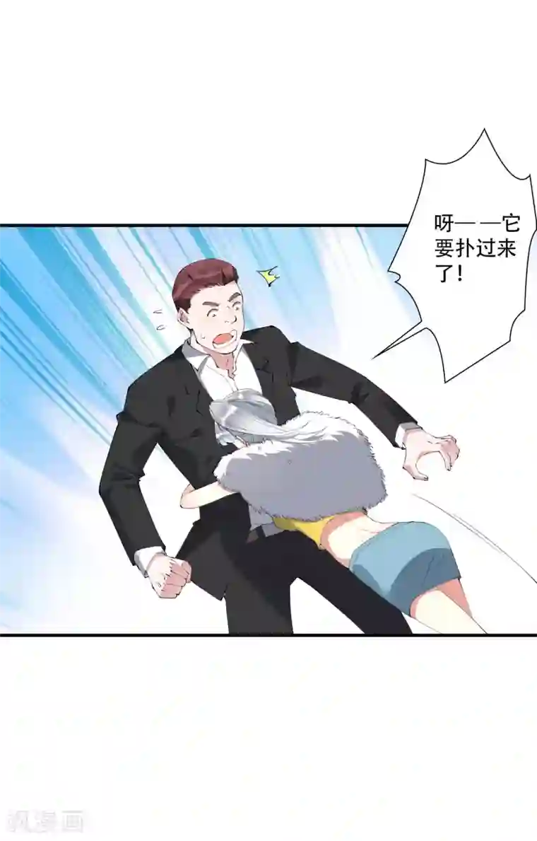 麻辣女老板第42话 杀人了？！！