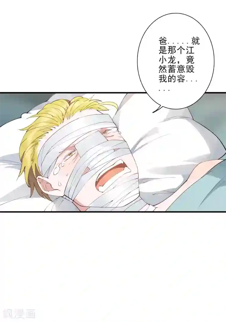 麻辣女老板第45话 龚总牌小辣椒，你惹不起！