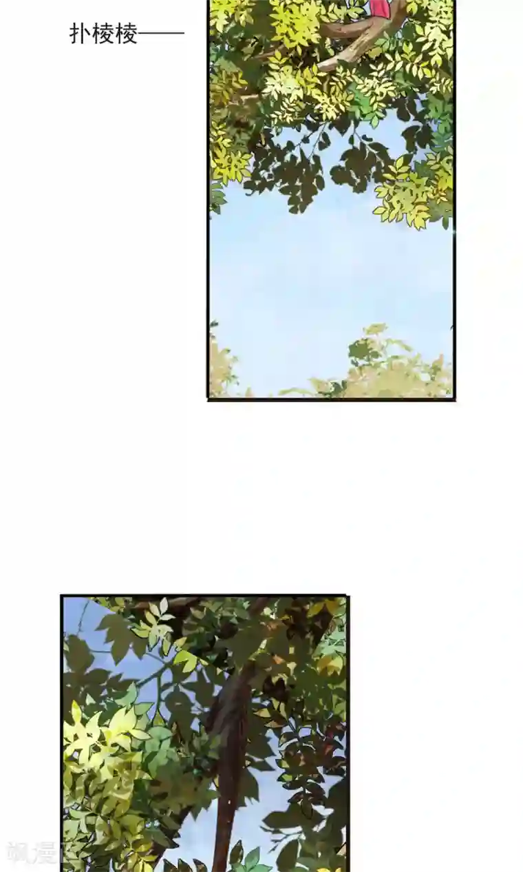 恋上巫女的妖主大人第11话1 思念