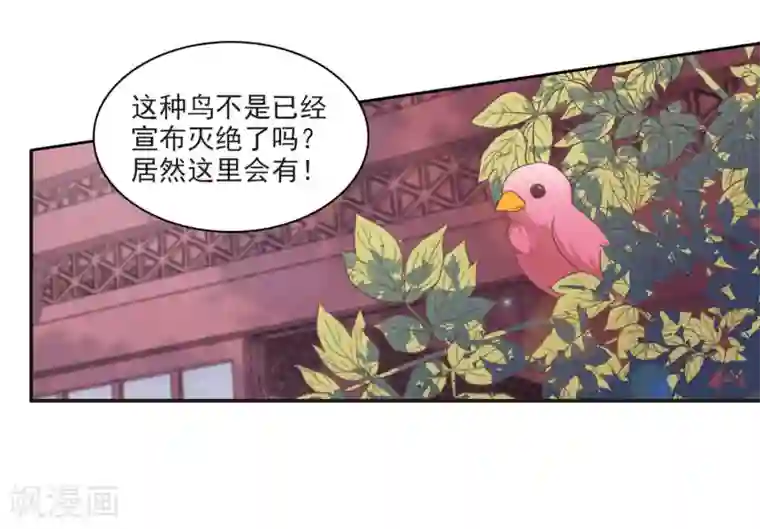 恋上巫女的妖主大人第21话1 借宿2
