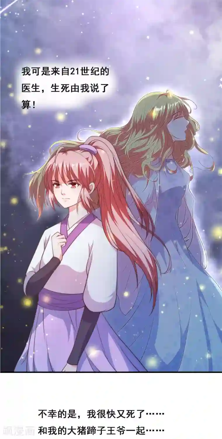 倾世医妃要休夫序章