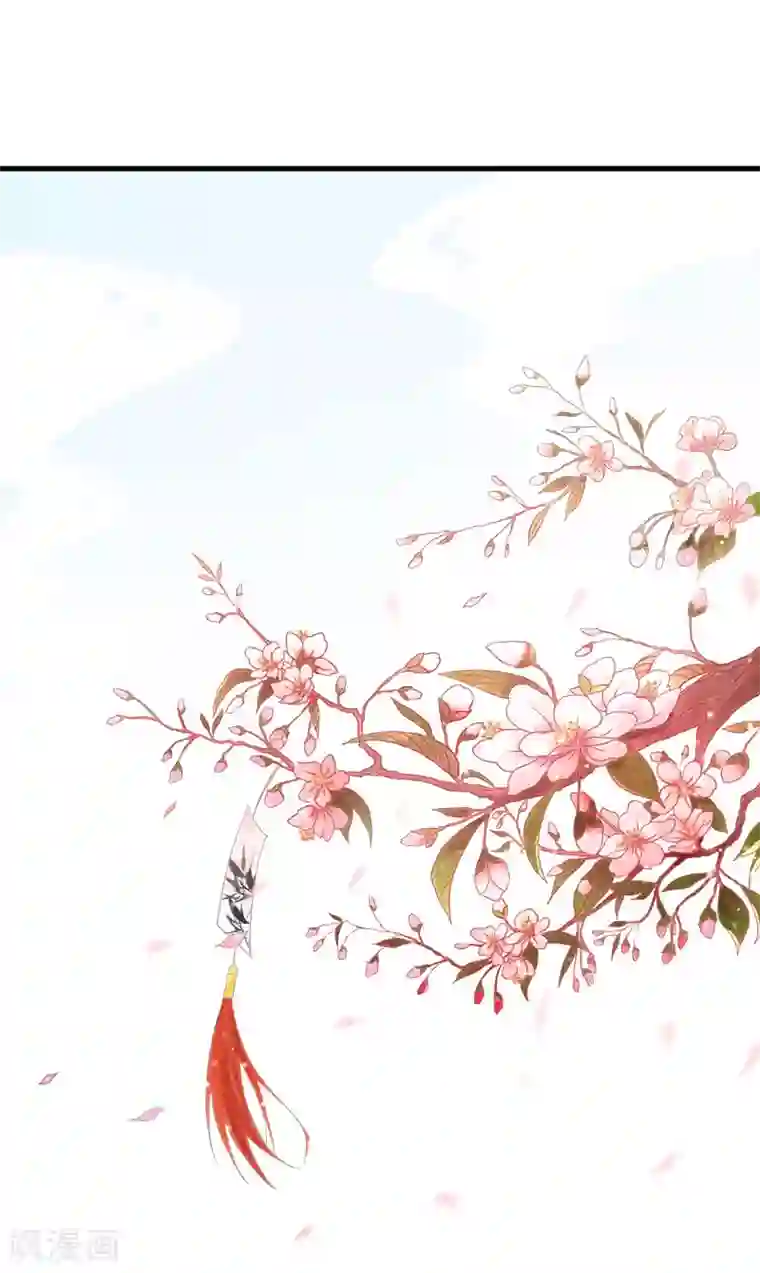 倾世医妃要休夫第5话 赴宮宴