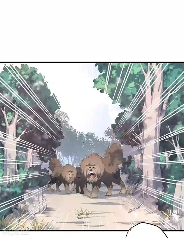 倾世医妃要休夫第9话 身份被疑