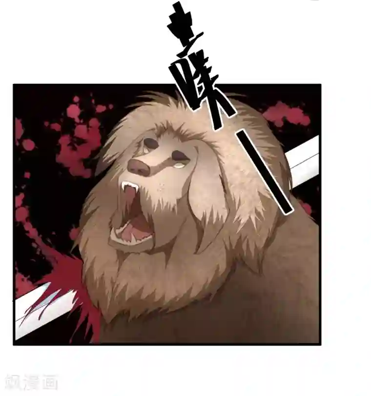 倾世医妃要休夫第9话 身份被疑