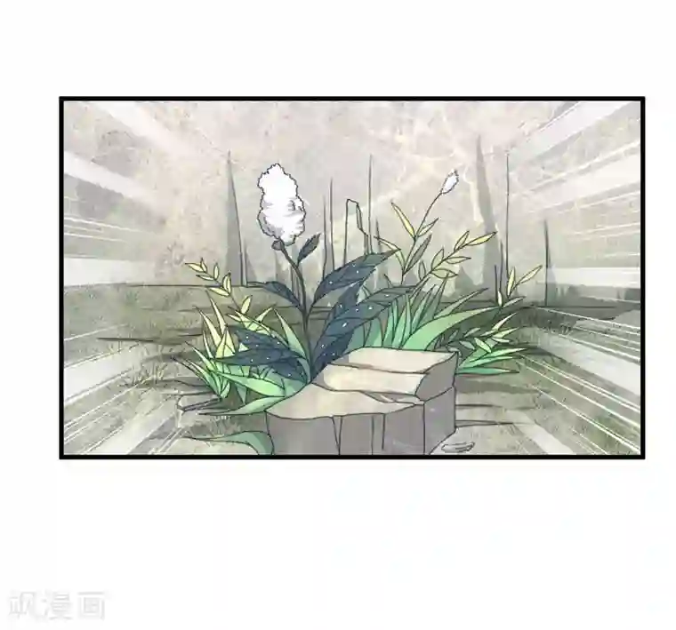 倾世医妃要休夫第11话 本王不许你死！