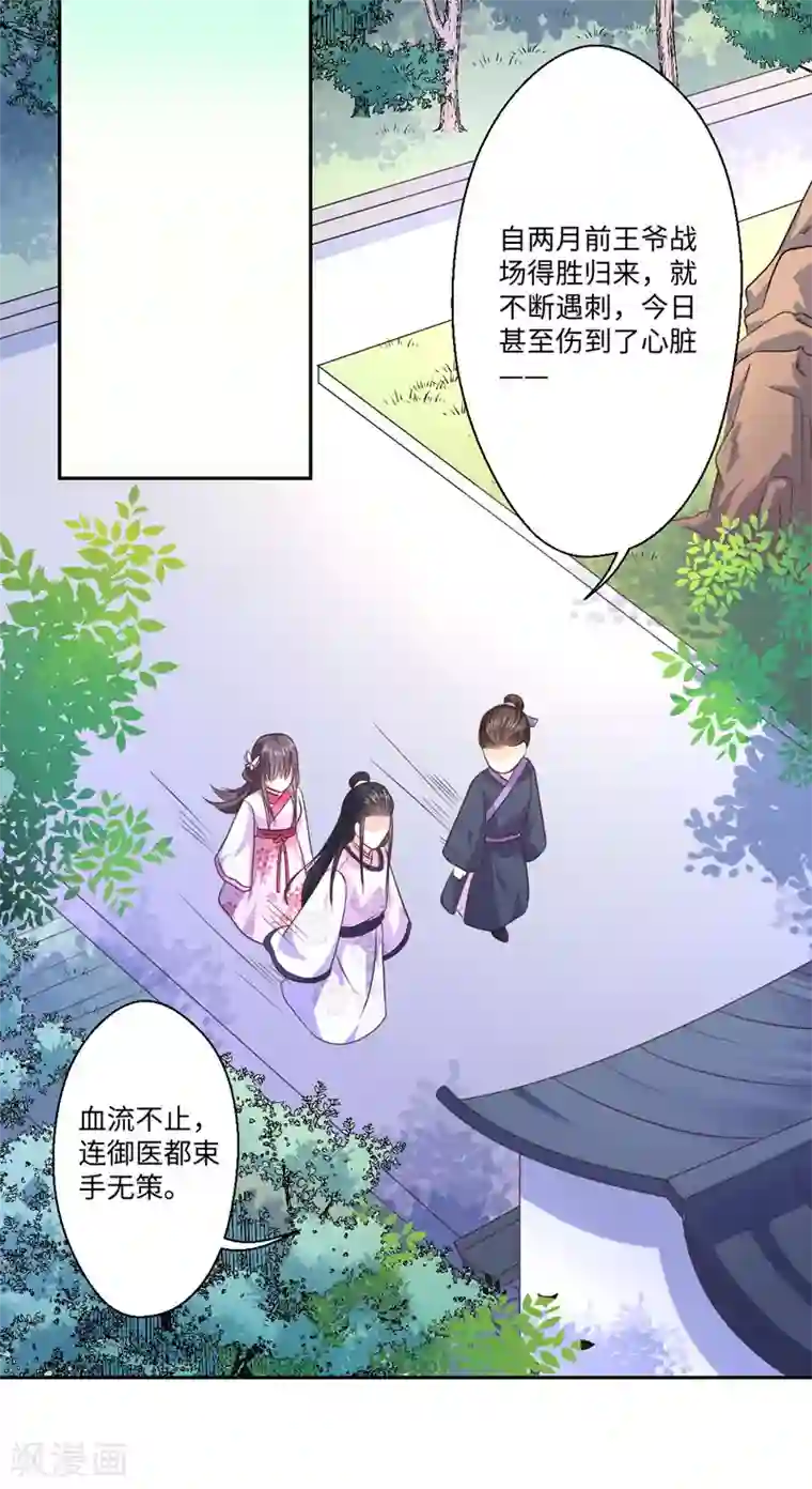 倾世医妃要休夫第30话 宋云谦遇刺