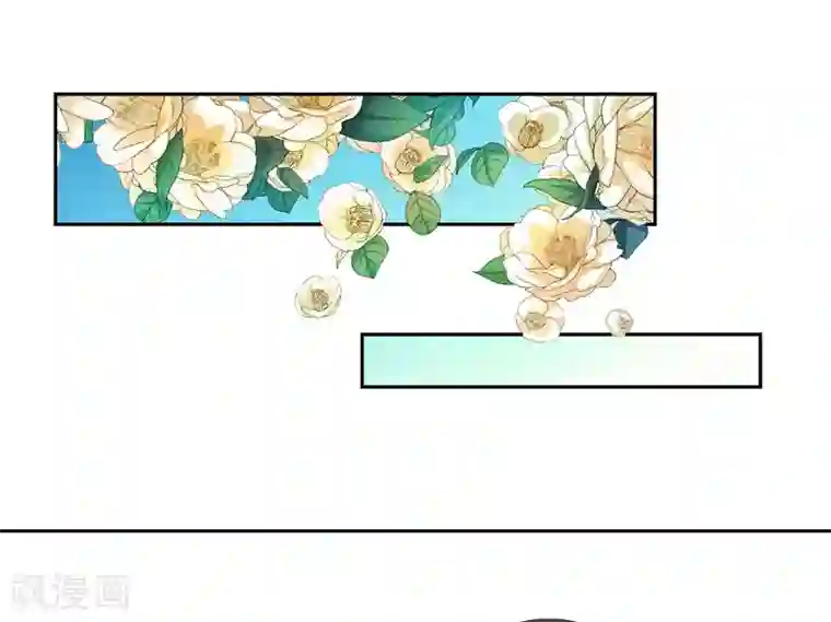 倾世医妃要休夫第30话 宋云谦遇刺