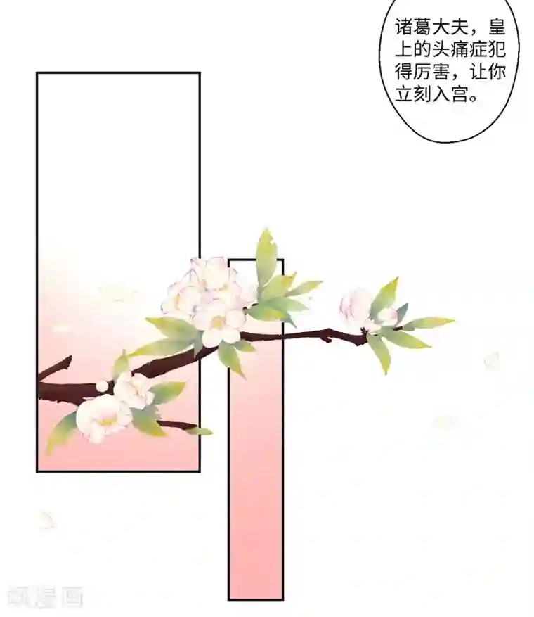 倾世医妃要休夫第38话 身在帝王家