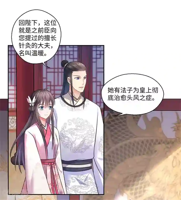 倾世医妃要休夫第39话 进宫为皇上诊治