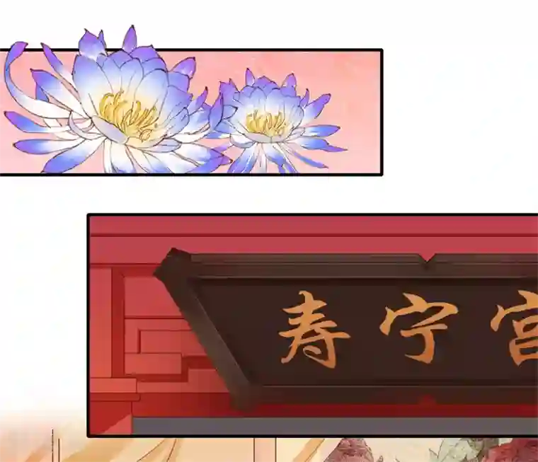 倾世医妃要休夫第49话 入宫为太后医治眼疾