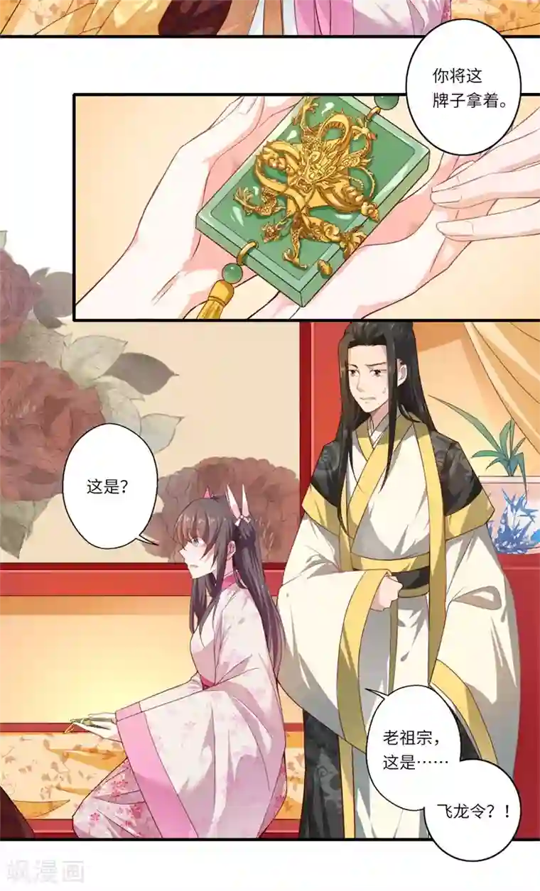 倾世医妃要休夫第50话 得”飞龙令“者为皇后