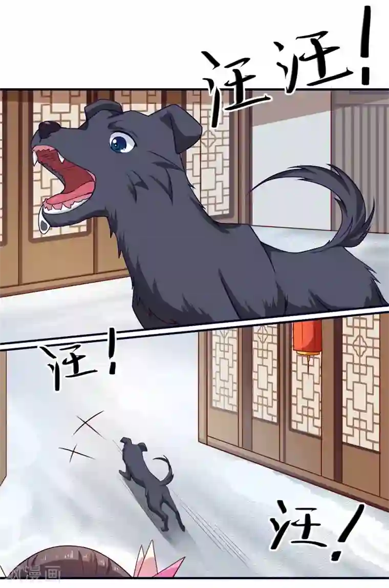 倾世医妃要休夫第53话 预感再现