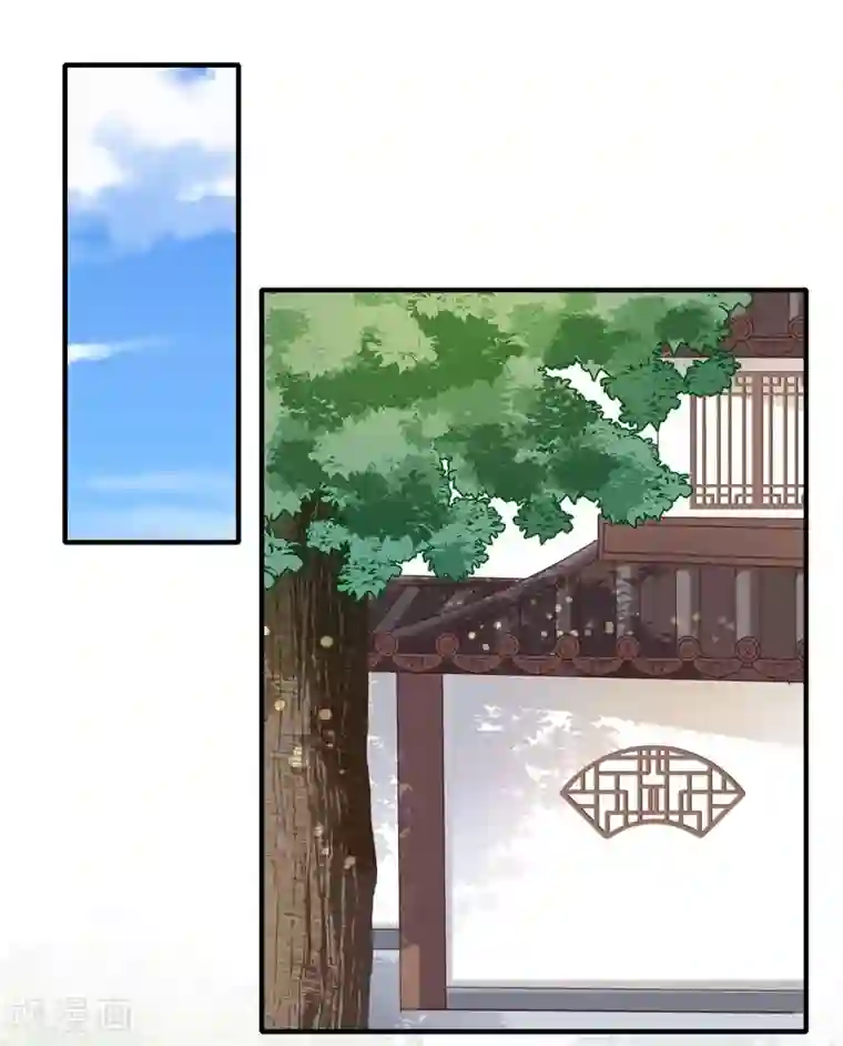 倾世医妃要休夫第103话 簪子