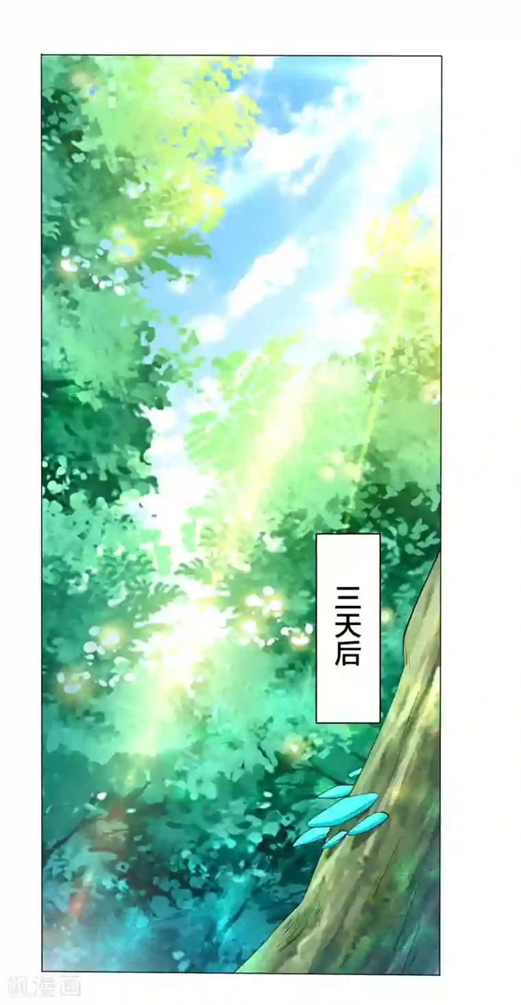 一等家丁第14话 外出试练