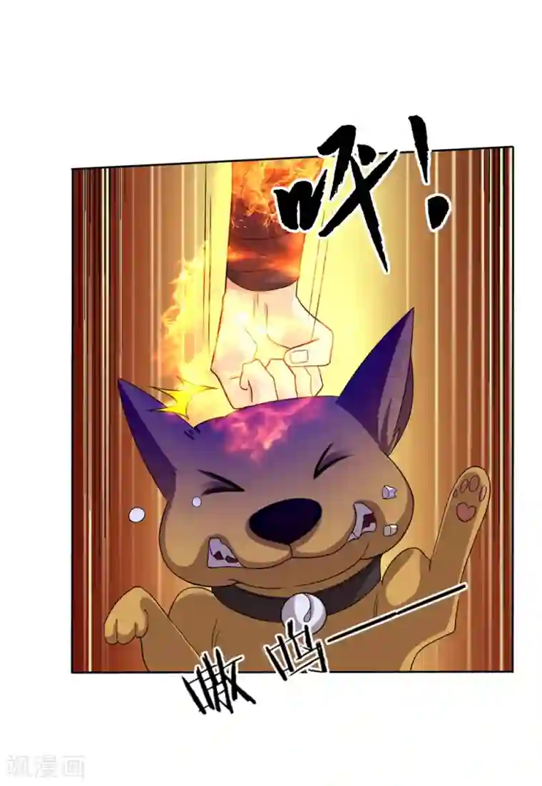 一等家丁第32话 扮猪吃老虎