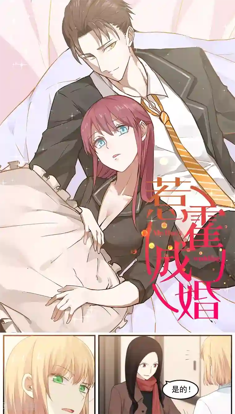 惹霍成婚第57话