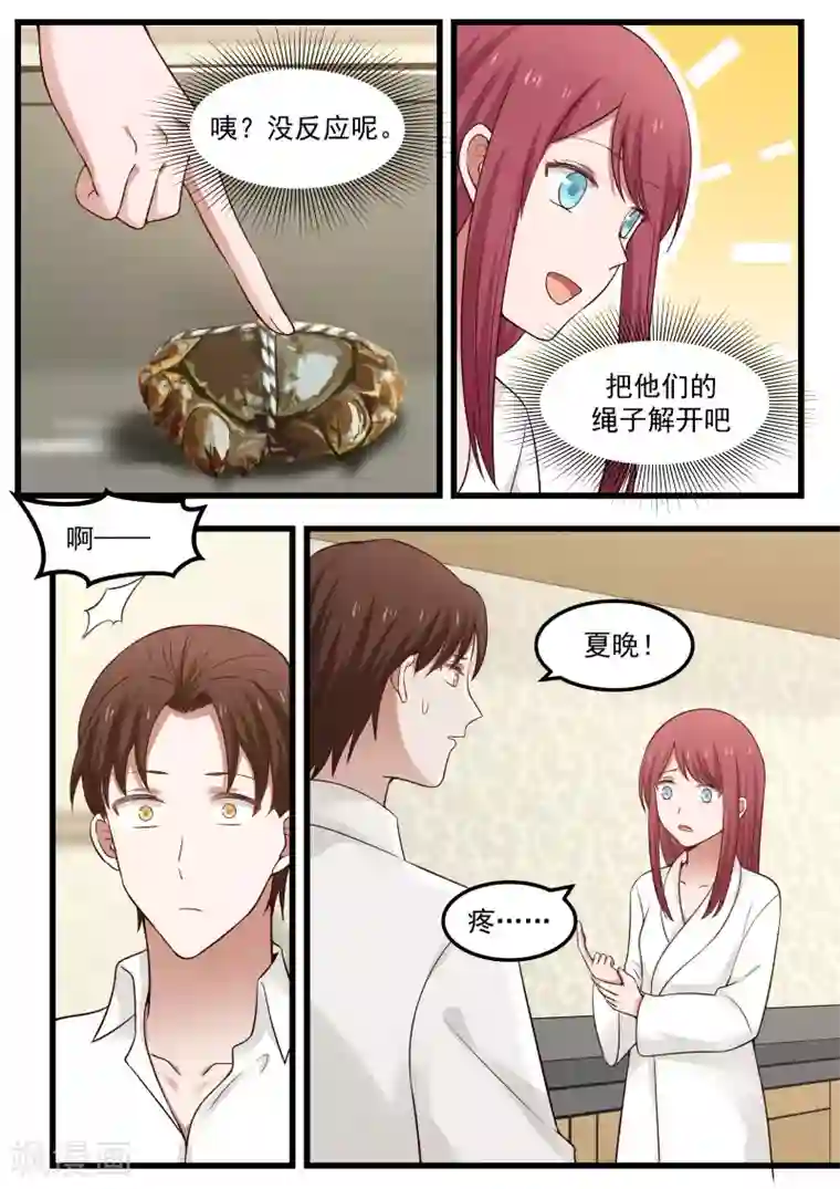 惹霍成婚第74话