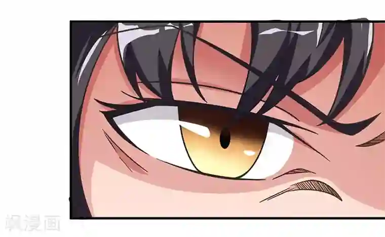 重生弃少归来第9话 代开会议