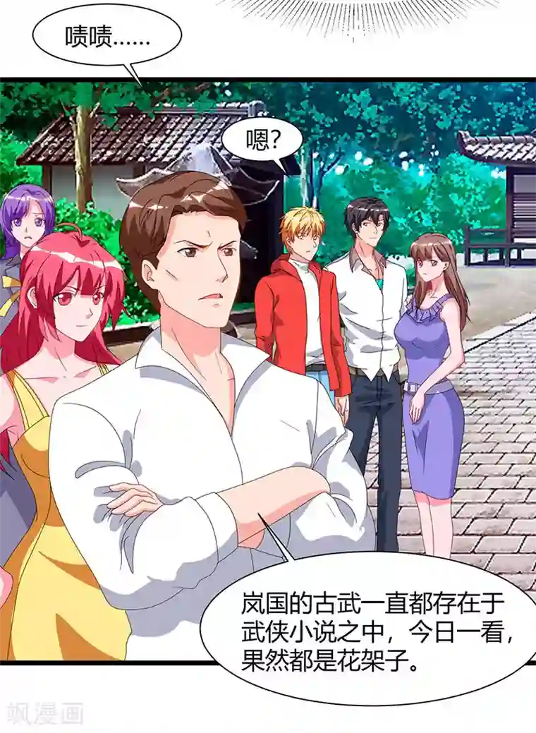 重生弃少归来第59话 岚国古武