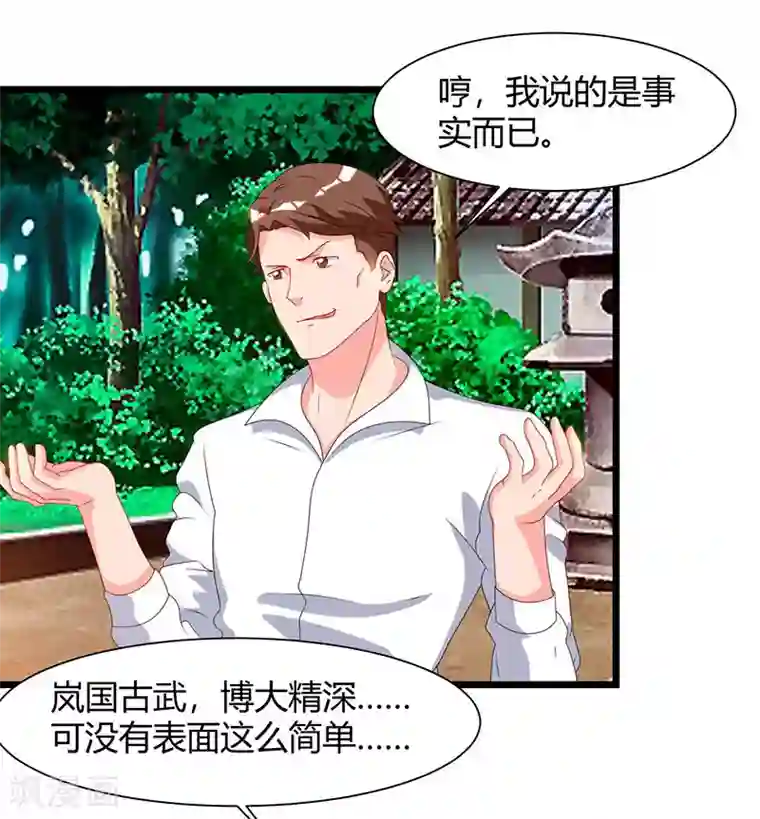 重生弃少归来第59话 岚国古武