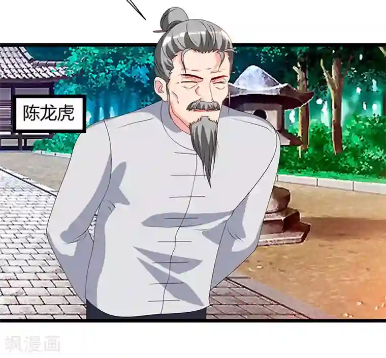 重生弃少归来第59话 岚国古武