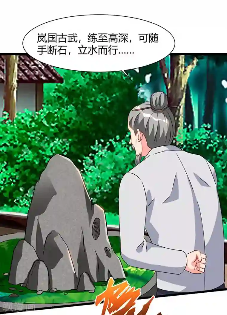 重生弃少归来第59话 岚国古武