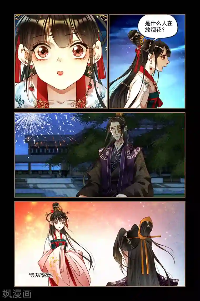 神医嫡女第189话 一场烟火