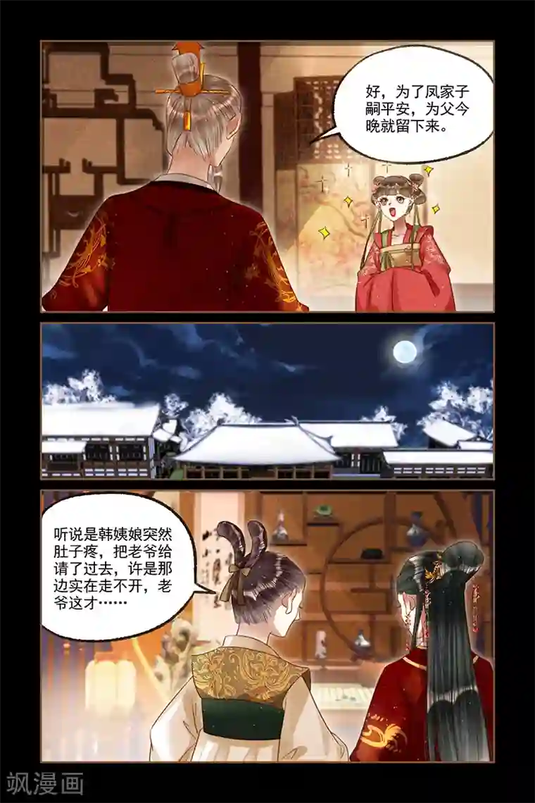 神医嫡女第254话 新婚之夜