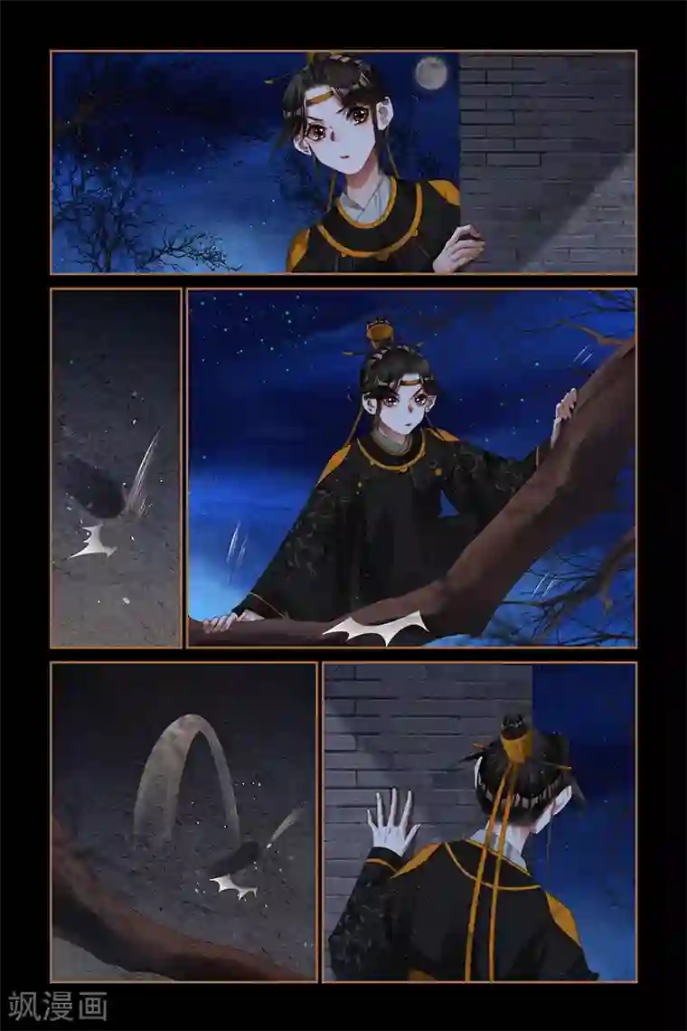 神医嫡女第263话 夜探王府