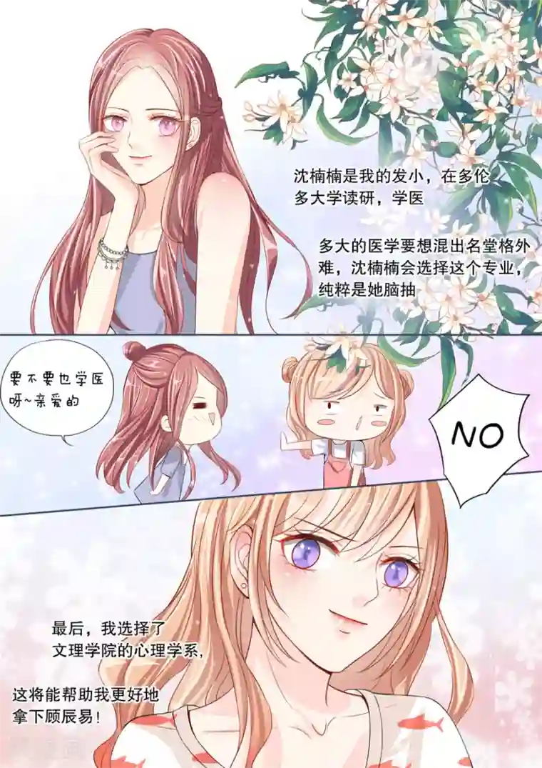 多伦多的小时光第11话 我家男人真的名草有主了