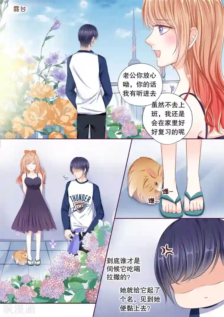 多伦多的小时光第48话 什么时候养的祖宗！