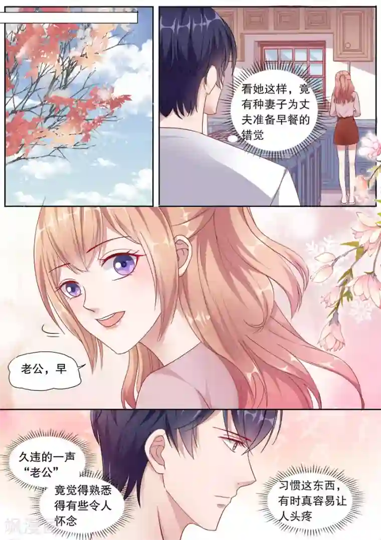 多伦多的小时光第149话 未来准妈咪