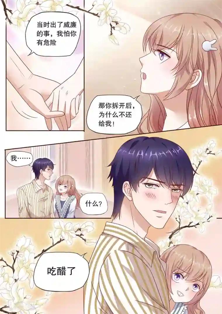 多伦多的小时光最终话 云开见日