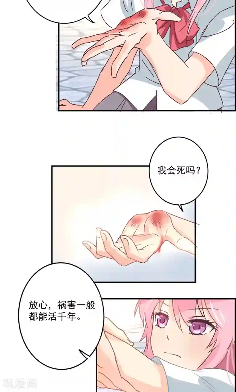 狂拽小妻第7话 我是最好看的祸害