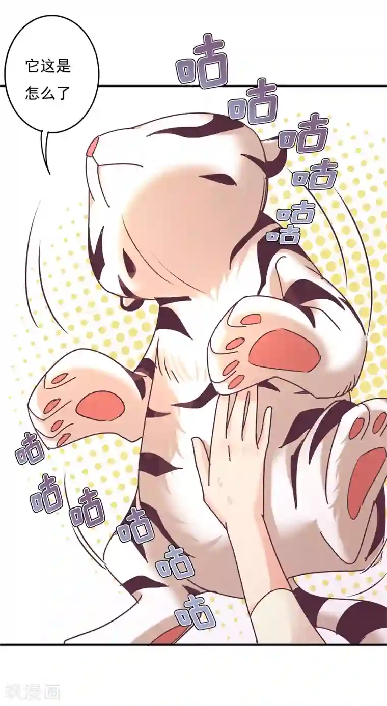 狂拽小妻第62话 他爱我，他的…也爱我