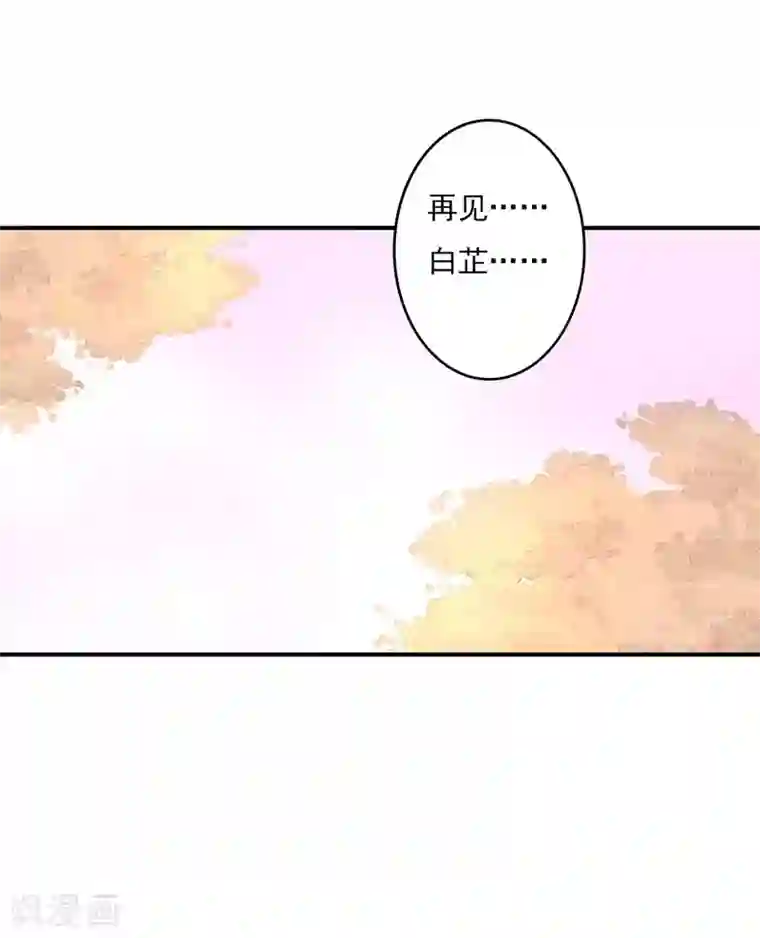 狂拽小妻第63话 再见了，白芷！