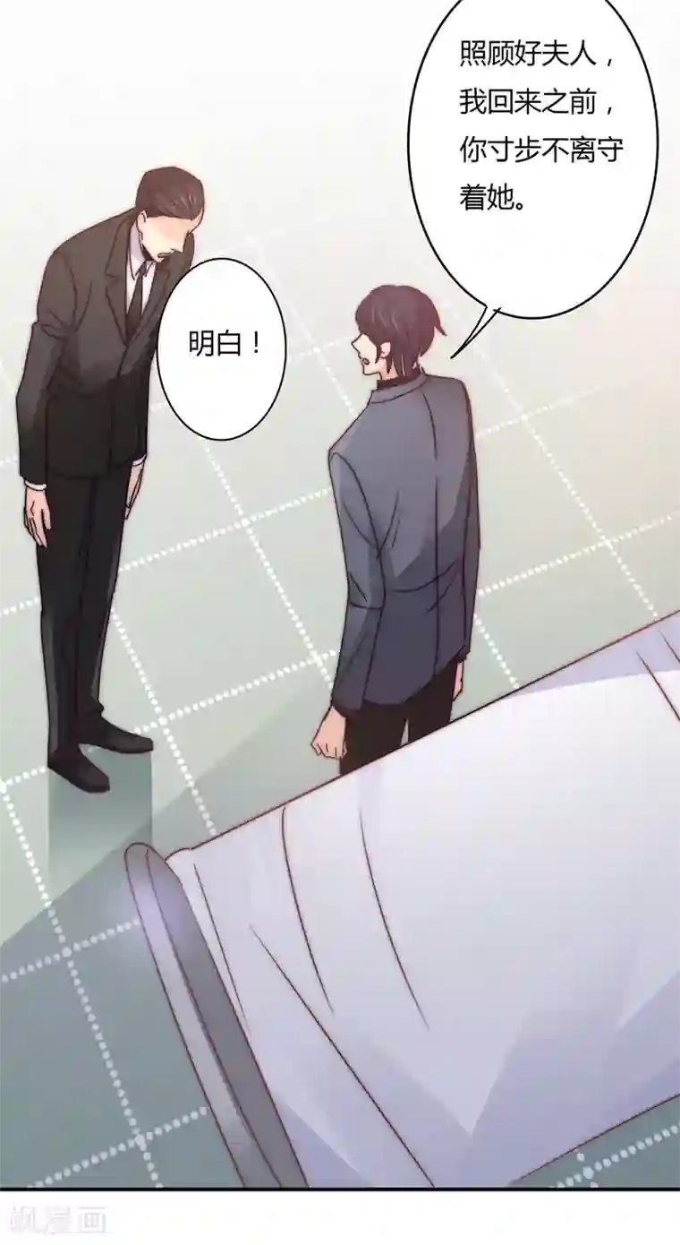 狂拽小妻第110话 先保大人