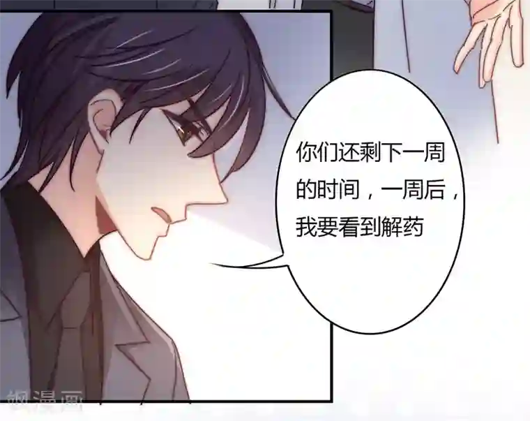 狂拽小妻第110话 先保大人