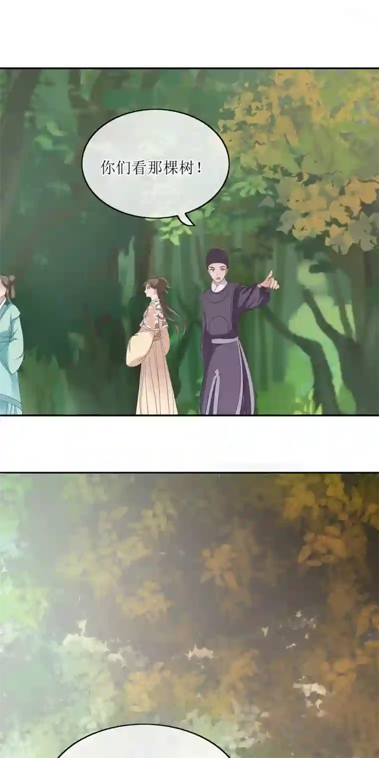 我的野蛮王妃第74话 入口