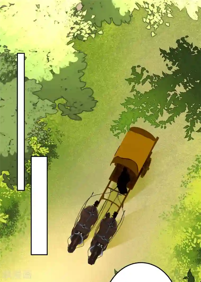 王爷，你的马甲掉了第44话 娘亲你有小宝宝了吗？