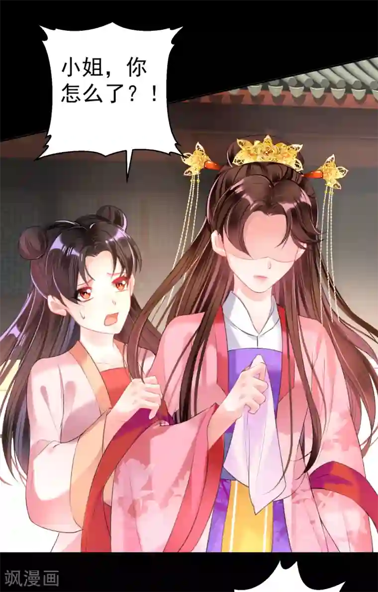 王爷，你的马甲掉了第48话 团子的身世谜团