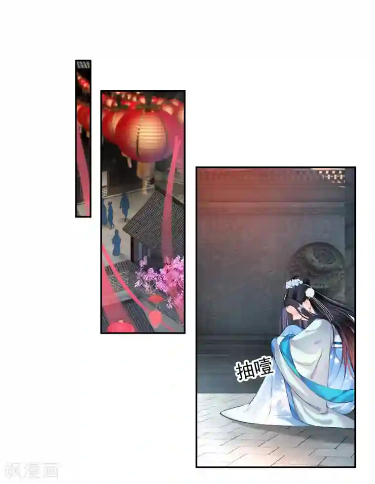 王爷，你的马甲掉了第65话 大白个骗子，他就是三皇子！