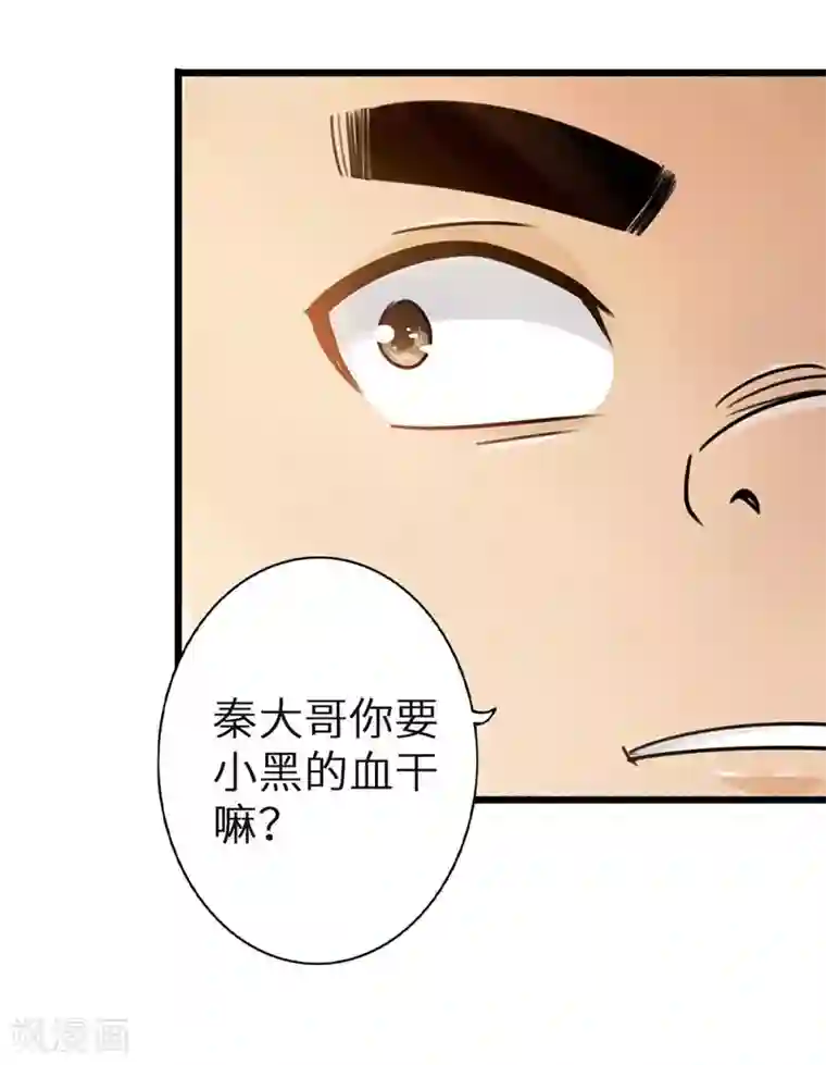 太古狂神第31话