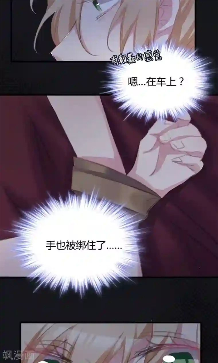 总裁教授跟我走第42话 被绑架