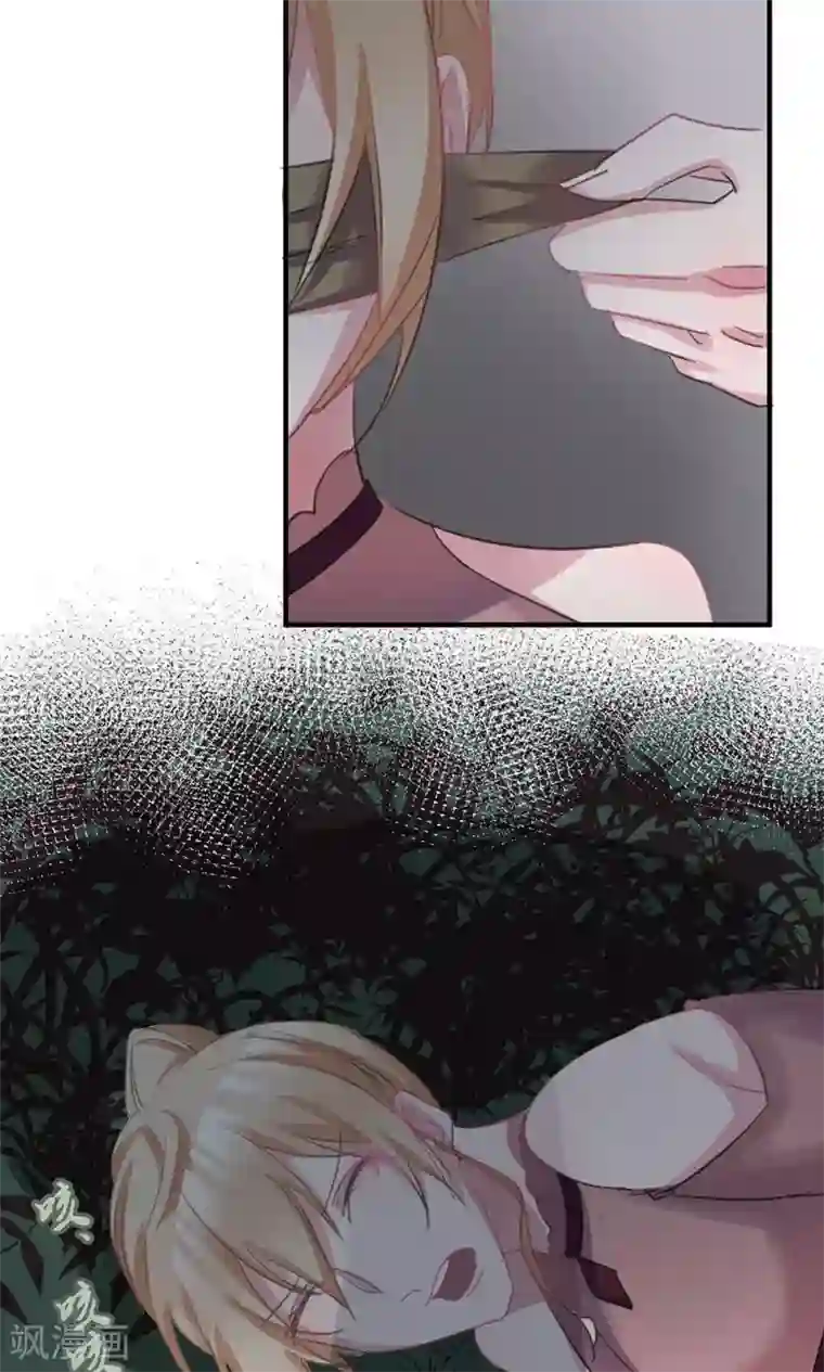 总裁教授跟我走第43话 你们别碰我