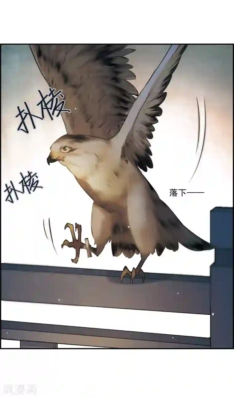 上国赋之千堆雪第39话 逃离主家5