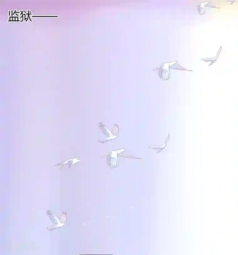 万丈光芒不及你第1话 从监狱里走出的美女