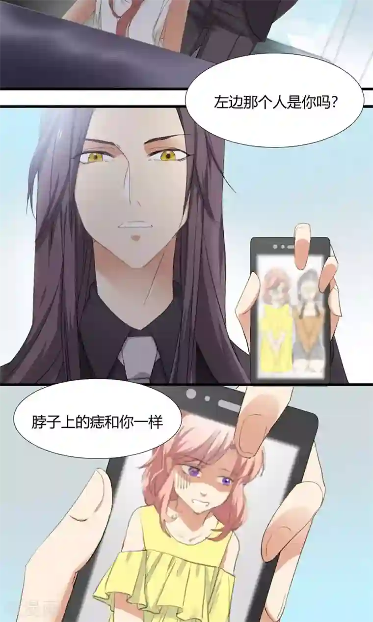 酒店女王第1话 最强女欺诈师