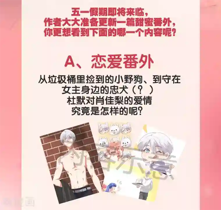 酒店女王番外投票活动